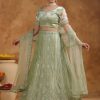 Janasya Embroidered Semi-Stitched Lehenga & Unstitched Blouse With Dupatta