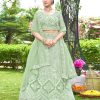 women neo mint embroidered lehenga choli with dupatta